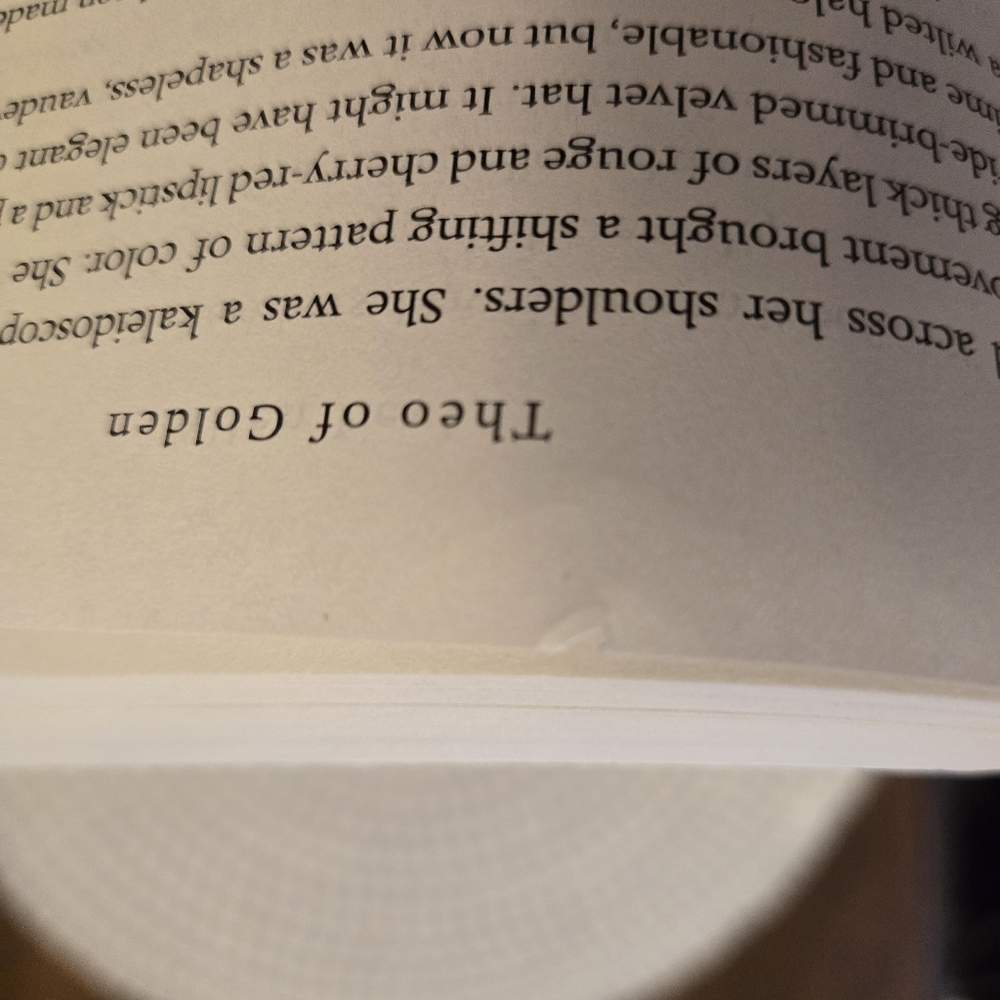 Theo of Golden: A Novel by Allen Levi - 2025 Paperback Book - Picture 9 of 10